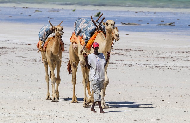Diani & South Coast